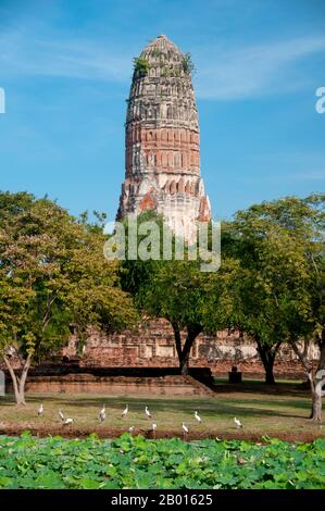 Thailand: Der prächtige Khmer-Stil Prang im Wat Phra RAM, Ayutthaya Historical Park. Wat Phra RAM wurde im 14. Jahrhundert angeblich auf König Ramathibodis Feuerbestattungsstelle erbaut. Der Prang stammt aus der Regierungszeit von König Borommatrailokanat (r. 1448-1488). Ayutthaya (Ayudhya) war ein siamesisches Königreich, das von 1351 bis 1767 existierte. Ayutthaya war gegenüber ausländischen Händlern freundlich, darunter Chinesen, Vietnamesen (Annamesen), Inder, Japaner und Und später die Portugiesen, Spanier, Holländer und Franzosen, die es ihnen ermöglichten, Dörfer außerhalb der Stadtmauern zu bauen. Stockfoto