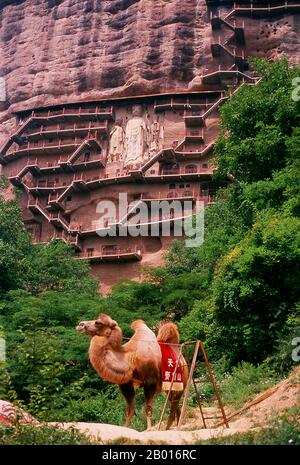 China: Ein Kamel erwartet Touristen, Maiji Shan Grotten, Tianshui, Provinz Gansu. Maijishan Shiku (Maiji Shan Grotten) sind eine der vier wichtigsten buddhistischen Tempelgruppen Chinas (die anderen sind Datong, Luoyang und die Mogao-Höhlen in Dunhuang). Ausgehend von den Dynastien Nördlicher Wei (386-535) und Nördlicher Zhou (557-81) schnitten Buddhisten Höhlen in die Seiten eines roten Ausschnitts, der aus den umliegenden Laubhügeln aufsteigt. Figuren des Buddha, von Bodhisattvas und Schülern wurden in härtere Felsen gehauen, die von anderswo hergebracht wurden, und in den Höhlen installiert. Stockfoto