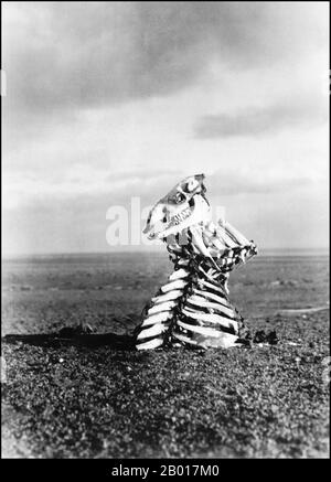 China: Ein makabres Richtungszeichen in den Abfällen der Schwarzen Gobi, fotografiert von Sven Hedin (19. Februar 1865 - 26. November 1952), 1934. Sandverlagerungen, Sandstürme, extreme Hitze, bittere Kälte, fast völliger Wassermangel und immense Entfernungen trugen zum Tod der Packtiere der Seidenstraße (und manchmal auch ihrer Meister) während der endlosen Überquerungen bei. Es war üblich, Knochen oder Teile von Tierskeletten zu verwenden, um anderen Reisenden den Weg zu weisen oder Gefahren anzuzeigen. Stockfoto