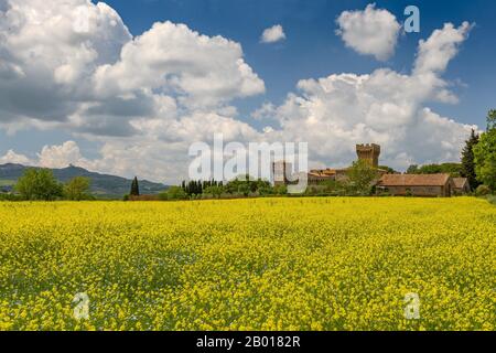 Das im 12. Jahrhundert erbaute Schloss Spedaletto befindet sich im Val d'Orcia in der Toskana in Italien. Stockfoto