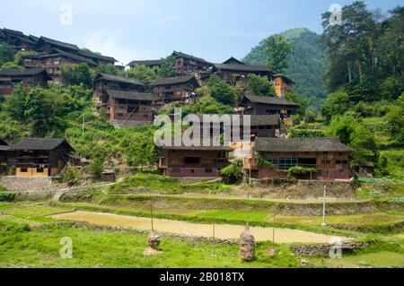 China: Ein kleines Dorf in Miao in der Nähe von Langde Shang, südöstlich von Kaili, Provinz Guizhou. Die Miao sind eine sprachlich und kulturell verwandte Gruppe von Menschen, die von der Regierung der Volksrepublik China als eine der 55 offiziellen Minderheitengruppen anerkannt wird. Miao ist ein chinesischer Begriff und spiegelt nicht die Selbstbezeichnungen der Teilgruppen wider, zu denen (mit einigen Schreibvarianten) Hmong, Hmu, A Hmao und Kho (Qho) Xiong gehören. Die Miao leben hauptsächlich in Südchina, in den Provinzen Guizhou, Hunan, Yunnan, Sichuan, Guangxi, Hainan, Guangdong und Hubei. Stockfoto