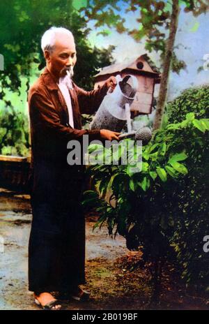 Vietnam: Präsident Ho Chi Minh (19. Mai 1890 - 3. September 1969), der seinen Garten auf dem Gelände des Präsidentenpalastes in Hanoi, c.. 1956. Hồ Chí Minh, geboren als Nguyễn Sinh Cung und auch bekannt als Nguyễn Ái Quốc, war ein vietnamesischer revolutionärer Führer, der Premierminister (1946-1955) und Präsident (1945-1969) der Demokratischen Republik Vietnam (Nordvietnam) war. Er gründete die Demokratische Republik Vietnam und leitete die Viet Cong während des Vietnamkrieges bis zu seinem Tod. Stockfoto