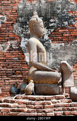 Thailand: Buddha und Affen im Prang Sam Yot (ein Khmer-Tempel), Lopburi. Prang Sam Yot, ursprünglich ein Khmer-Hindu-Schrein, hat drei Zacken, die früher Brahma, Vishnu und Shiva (die Hindu-trinität) repräsentierten. Es wurde später in einen buddhistischen Schrein umgewandelt. Die Altstadt von Lopburi stammt aus der Dvaravati-Ära (6. - 13. Jahrhundert). Es war ursprünglich als Lavo oder Lavapura bekannt. Nach der Gründung des Königreichs Ayutthaya im fünfzehnten Jahrhundert war Lopburi eine Festung der Herrscher Ayutthayas. Es wurde später eine neue königliche Hauptstadt während der Herrschaft von König Narai dem Großen des Ayutthaya-Königreichs. Stockfoto