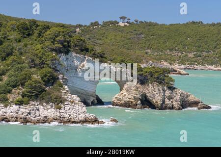 Saint Felice Arch im Gargano-Nationalpark, in der Nähe von Vieste, Apulien, Italien. Stockfoto