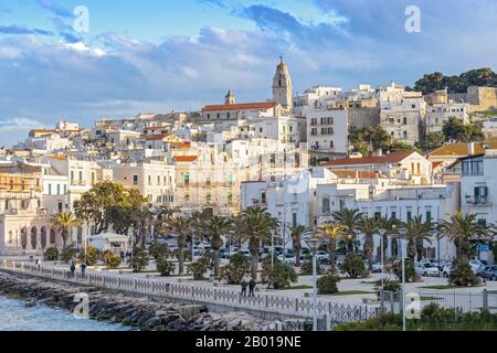 Weiße Häuser der mittelmeerstadt Vieste, Gargano, Apulien, Italien. Stockfoto