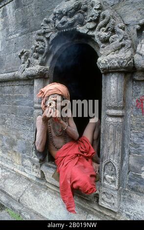 Nepal: Haschisch rauchender Sadhu, Pashupatinath, Kathmandu. Sie sind, verschiedentlich, als Sadhus (Heilige oder 'gute'), Yogis (asketische Praktizierende) bekannt, Fakiren (asketischer Sucher nach der Wahrheit) und Sannyasine (wandernde Bettelmönchen und Asketen). Sie sind die asketischen – und oft exzentrischen – Praktizierenden einer strengen Form des Hinduismus. Geschworen, irdische Wünsche abzuwerfen, entscheiden sich manche dafür, als Anchoriten in der Wildnis zu leben. Andere sind weniger pensioniert, vor allem in den Städten und Tempeln des nepalesischen Kathmandu-Tals. Stockfoto