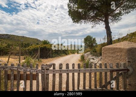Wanderweg Nr. 1 im Parc Natural de la Peninsula de Llevant auf der baleareninsel Mallorca (Mallorca), Spanien Stockfoto