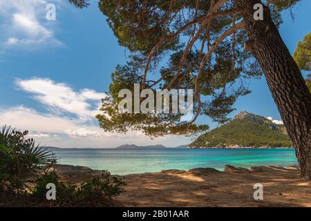 Strand Platja de Formentor auf der baleareninsel Mallorca (Mallorca), Spanien Stockfoto