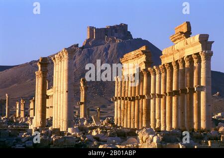 Syrien: Die große Kolonnade und das Schloss Qala’at Ibn Maan über den Ruinen von Palmyra. Die arabische Burg Qala’at Ibn Maan (auch bekannt als Fakhr-al-DIN al-Maani), die auf einem Hügel über den Ruinen liegt, wurde von den Mamluken im 13.. Jahrhundert uralt erbaut. Palmyra war eine alte Stadt in Syrien. Es war eine wichtige Stadt in Zentral-Syrien, in einer Oase 215 km nordöstlich von Damaskus und 180 km südwestlich des eufratischen Normes bei Deir EZ-Zor gelegen. Sie war lange Zeit eine wichtige Karawanenstadt für Reisende, die die syrische Wüste durchquerten und war als die Braut der Wüste bekannt. Stockfoto