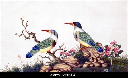 China: Schwarzdeckelfischer. Aquarellmalerei aus einem Gouache-Album verschiedener chinesischer Vögel, 19.. Jahrhundert. Der Schwarzdeckelfischer (Halcyon pileata) ist ein Baum-Eisfischer, der im gesamten tropischen Asien, von Indien bis China, Korea und Südostasien, gefunden wird. Es war sehr begehrt wegen seiner blauen Federn, vor allem in China, wo sie früher Fans und Frauenschmuck machten. Stockfoto