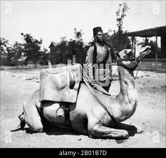 Sudan: Mitglied des kaiserlichen sudanesischen Kamelkorps des anglo-ägyptischen Sudan. Foto von Frank George Corper (8. Mai 1855 - 18. Juni 1924) c.. 1900-1920. Der Begriff Anglo-ägyptischer Sudan bezieht sich auf den Zeitraum zwischen 1891 und 1956, als der Sudan als Kondominium von Ägypten und dem Vereinigten Königreich verwaltet wurde. Der Sudan (bestehend aus dem heutigen Sudan und dem Südsudan) wurde de jure legal zwischen Ägypten und dem britischen Imperium geteilt, wurde aber de facto von letzterem kontrolliert, wobei Ägypten in Wirklichkeit nur begrenzte lokale Macht genießt, da Ägypten selbst unter zunehmenden britischen Einfluss fiel. Stockfoto