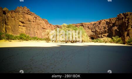 Panorama im Inneren Canyon aka Guelta d'Archei, Osten Ennedi, Tschad Stockfoto