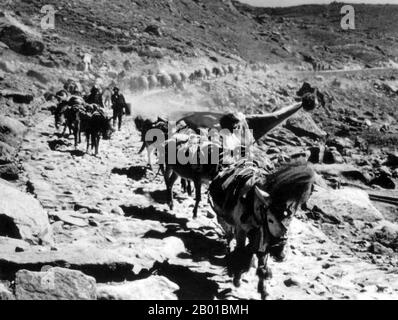 Indien/Sikkim: Eine Maultier-Karawane aus Tibet kommt über den Nathu La Pass, 1930s, nach Sikkim. Nathu La (chinesisch: Nǎiduīlā Shānkǒu) ist ein Gebirgspass im Himalaya. Es verbindet den indischen Staat Sikkim mit Chinas Autonomer Region Tibet. Der Pass, der 4.310 m (14.140 ft) über dem mittleren Meeresspiegel liegt, ist Teil eines Ableger der alten Tea Horse Road. Nathu bedeutet „Ohren hören“ und La bedeutet auf Tibetisch „Pass“. Es wird auch Ntula, Natu La, Natula oder Natula geschrieben. Nathu La ist einer der drei Handelsgrenzposten zwischen China und Indien. Stockfoto