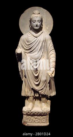 Pakistan/Afghanistan: Standbild des Buddha, Königreich Gandhara, 1.-2. Jahrhundert u.Z. Gandhāra ist bekannt für den unverwechselbaren Gandhāra-Stil der buddhistischen Kunst, der sich aus einer Fusion griechischer, syrischer, persischer und indischer künstlerischer Einflüsse entwickelte. Diese Entwicklung begann in der Parthianzeit (50 v. Chr. - 75 n. Chr.). Der Stil von Gandhāran blühte und erreichte seinen Höhepunkt während der Kushan-Zeit, vom 1.. Bis zum 5.. Jahrhundert. Nach der Invasion der Weißen Hunnen im 5.. Jahrhundert ging es zurück und erlitt Zerstörung. Stockfoto