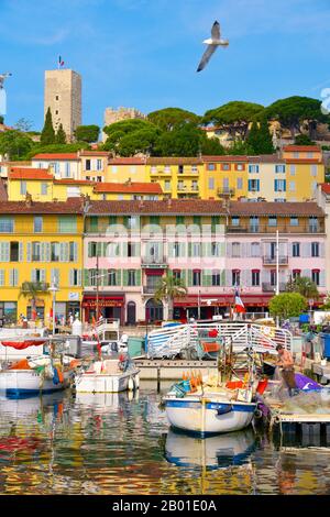 Cannes, FRANKREICH - 3. JUNI 2017: Blick auf den Vieux Port, den Alten Hafen von Cannes und den Stadtteil Le Suquet, die Altstadt, im Hintergrund Stockfoto