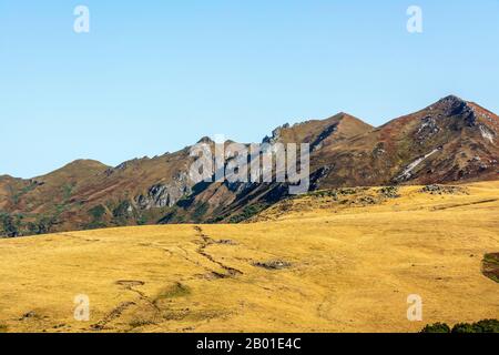 Massiv von Sancy, Naturregionaler Naturpark der Vulkane der Auvergne, Puy de Dome, Region der Rhone-Alpen der Auvergne, Frankreich, Europa Stockfoto