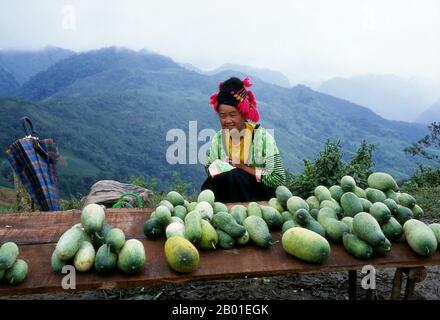 Vietnam: Rote Hmong-Frau, die Kürbisse in der Nähe von Tuan Giao, Provinz Lai Chau, Nordwesten Vietnams verkauft. Die Hmong sind eine asiatische ethnische Gruppe aus den Bergregionen Chinas, Vietnams, Laos und Thailands. Hmong gehören auch zu den Untergruppen der Volksgruppe Miao in Südchina. Die Hmong-Gruppen begannen im 18. Jahrhundert aufgrund politischer Unruhen und um mehr Ackerland zu finden, eine allmähliche Migration nach Süden. Stockfoto