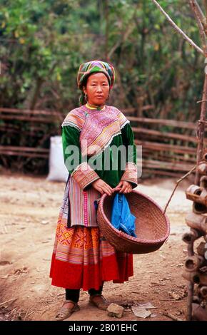 Frau in einem Blumendorf in der Nähe von Phong Nien, Provinz Lao Cai. Die Hügel um Bac Ha sind Heimat von zehn verschiedenen Minderheiten, darunter Dao, Giay, Nung und Tai, aber die markantesten und farbenprächtigsten sind der blumige Hmong. Schon vor Sonnenaufgang treffen sie auf Bac Has staubigem Stadtzentrum und vor allem auf dem Betonmarkt zusammen. Zu den verkauften und umgetauschten Waren gehören Obst und Gemüse jeder Art, frisches Fleisch und wilde Orchideen. Die Hmong sind eine asiatische ethnische Gruppe aus den Bergregionen Chinas, Vietnams, Laos und Thailands. Stockfoto