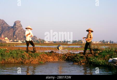 Vietnam: Bewässernde Reisfelder in der Nähe von Kenh GA, Provinz Ninh Binh. Im schwimmenden Dorf Kenh GA oder „Chicken Canal“ verbringt fast die gesamte Gemeinde ihr Leben auf dem Wasser, und das Dorf ist nur mit dem Boot erreichbar. Nordvietnam, das Gebiet am Delta des Roten Flusses mit seiner Hauptstadt in Hanoi, erstreckt sich von der chinesischen Grenze im Norden bis zum Fluss Ma in der Provinz Thanh Hoa im Süden. Im Westen bilden der Truong-Sohn oder die „Long Mountains“ und die Grenze zu Lao die Grenze; im Osten liegt Vinh Bac Bo, der „nördliche Golf“. Stockfoto