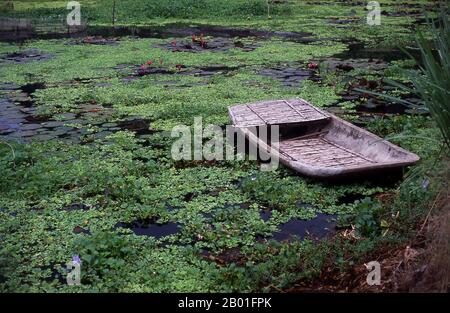 Vietnam: Boot, Hoa Lu, Provinz Ninh Binh. Im Jahr 968 vereinigte ein herausragender Militärbefehlshaber Dinh Bo Linh (924-979) das Land nach dem Zusammenbruch der kurzlebigen NRO-Dynastie (939-967). Er benannte das Land Dai Co Vietnam um und verlegte die Hauptstadt von Co Loa nahe Hanoi nach Süden nach Hoa Lu, um weiter von der chinesischen Bedrohung entfernt zu sein. Er übernahm auch den Titel Kaiser Tien Hoang De (r. 968-979), heiratete fünf Kaiserinnen gleichzeitig – der einzige vietnamesische König, der dies je tat – und baute einen aufwändigen Palast und eine Zitadelle. Stockfoto