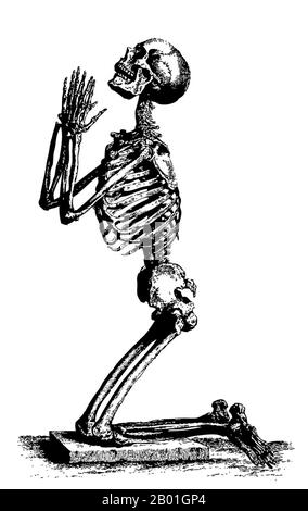 Europa: Ein Holzschnitt, der ein Gebetsskelett darstellt, wahrscheinlich symbolisch für den „Schwarzen Tod“, anonym, c. 15. Jahrhundert. Der Schwarze Tod war eine der verheerendsten Pandemien in der Geschichte der Menschheit und erreichte zwischen 1348 und 1350 ihren Höhepunkt in Europa. Von mehreren konkurrierenden Theorien ist die vorherrschende Erklärung für den Schwarzen Tod die Pesttheorie, die den Ausbruch auf das Bakterium Yersinia pestis zurückführt. Sie soll in China begonnen haben, reiste entlang der Seidenstraße und erreichte die Krim um 1346 Uhr. Stockfoto