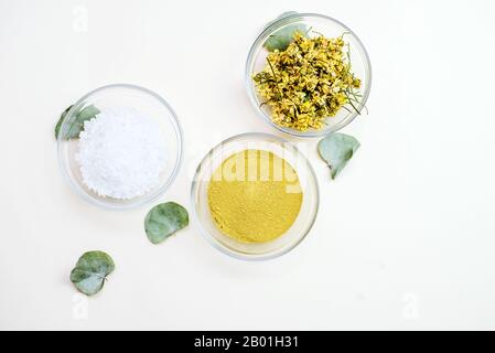 Glasschüsseln mit natürlichen Produkten zum Mischen und Erstellen von Naturmasken und Cremes. Meersalz, getrocknete Kamillenblüten und gelber Ton neben Eukalypt Stockfoto