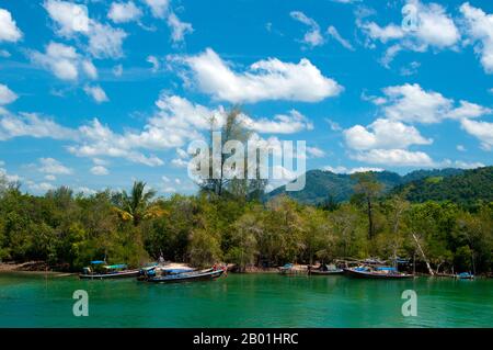 Thailand: Boote an der Mündung eines Flusses, hat Chao Mai Nationalpark, Provinz Trang. Die abwechslungsreiche Küstenlandschaft des hat Chao Mai Nationalparks umfasst Mangrovenbäche, Küstenkarste und versteckte Strände, die durch Höhlen erreicht werden. Einige der zahlreichen vor der Küste gelegenen Inseln von Trang sind unter Parkschutz, darunter Ko Kradan, Ko Cheuk und Ko Muk. Seltene Dugongs können manchmal in den flachen Gewässern und Seegraswiesen zwischen dem Festland und den Inseln gesichtet werden; andere Säugetiere sind Seeotter und Delfine auf See sowie Langlänzer, Makaken, Pfannengolin und Wildschweine an Land. Stockfoto