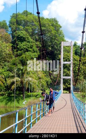 Thailand: Fütterung der Fische im Somdet Phra Srinakarin 95 Public Park, Stadt Trang, Provinz Trang, Südthailand. Trang ist seit mindestens dem 1. Jahrhundert n. Chr. ein Handelszentrum. Sie wuchs zwischen dem 7. Und 13. Jahrhundert während der Srivijaya-Zeit zu Wohlstand und ist bis heute eine wichtige Handelsstadt. Gummi, Palmöl und Fischerei sind die Hauptfaktoren der Wirtschaft der Stadt. Der Tourismus nimmt zu, da die Andamanenküste und die Inseln von Trang zunehmend entwickelt und populär werden. Stockfoto