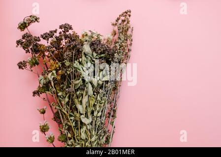 Blumenstrauß aus getrocknetem Gras und Blumen auf pinkfarbenem Hintergrund. Sammlung von Kräutern zum Brühen von Tees und Behandlung mit Folkmitteln. Stockfoto