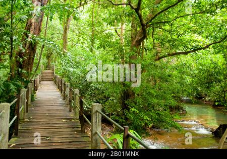 Thailand: Promenade durch den Than Bokkharani Nationalpark, Provinz Krabi. Der Than Bokkharani Nationalpark liegt in der Provinz Krabi, etwa 45 Kilometer nordwestlich von Krabi Town. Der Park erstreckt sich über eine Fläche von 121 Quadratkilometern (47 Quadratmeilen) und zeichnet sich durch eine Reihe von Kalksteinfelsen, immergrünen Regenwald, Mangrovenwald, Torfsumpf und viele Inseln aus. Es gibt auch zahlreiche Höhlen und Höhlenkomplexe mit einigen spektakulären Stalagmiten und Stalaktiten. Bokkharani liegt in zwei bekannten Höhlen, Tham Lot und Tham Phi Hua. Stockfoto