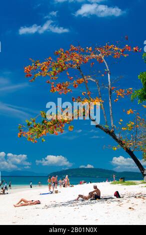 Thailand: Hat Tham Phra Nang Beach, Krabi Coast. Hat Tham Phra Nang, der „Strand der verehrten Dame“, ist ein schöner weißer Sandstrand am südlichen Ende der kleinen Halbinsel, die Rai Le East Beach vom Rai Leh West Beach trennt. Der Strand wird von vielen als der schönste in der Krabi Region angesehen und auch einer der schönsten in Südthailand. Die malerische Kulisse besteht aus herrlich klarem, weißem Sand und ist geschützt von hohen Kalksteinklippen und wird durch scharfe, seltsam geformte Karstvorsprünge verstärkt. Stockfoto