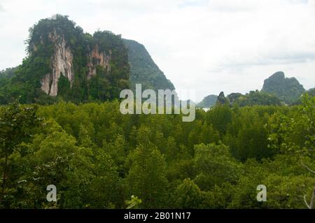 Thailand: Blick von Tham Phi Hua zur Höhle (auch bekannt als Tham Hua Kalok), dann Bokkharani Nationalpark, Provinz Krabi. Der Than Bokkharani Nationalpark liegt in der Provinz Krabi, etwa 45 Kilometer nordwestlich von Krabi Town. Der Park erstreckt sich über eine Fläche von 121 Quadratkilometern (47 Quadratmeilen) und zeichnet sich durch eine Reihe von Kalksteinfelsen, immergrünen Regenwäldern, Mangrovenwäldern, Torfmooren und viele Inseln aus. Es gibt auch zahlreiche Höhlen und Höhlenkomplexe mit einigen spektakulären Stalagmiten und Stalaktiten. Stockfoto