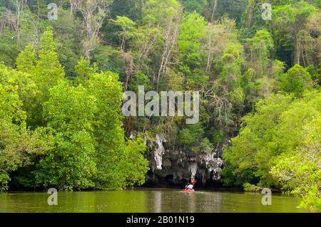 Thailand: Kajakfahren im Park, dann Bokkharani Nationalpark, Provinz Krabi. Der Than Bokkharani Nationalpark liegt in der Provinz Krabi, etwa 45 Kilometer nordwestlich von Krabi Town. Der Park erstreckt sich über eine Fläche von 121 Quadratkilometern (47 Quadratmeilen) und zeichnet sich durch eine Reihe von Kalksteinfelsen, immergrünen Regenwäldern, Mangrovenwäldern, Torfsumpfern und vielen Inseln aus. Es gibt auch zahlreiche Höhlen und Höhlenkomplexe mit einigen spektakulären Stalagmiten und Stalaktiten. Bokkharani liegt in zwei bekannten Höhlen, Tham Lot und Tham Phi Hua. Stockfoto