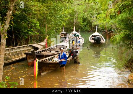 Thailand: Boote auf dem Fluss in Tha Pom Sumpf und Wald, Krabi Küste. Tha Pom (vollständiger Name auf Thai ist Pa Phru Tha Pom Khlong Song Nam) ist ein Torfsumpf und Wald, der hauptsächlich von einem Becken namens Chong Phra Kaew entlang einer natürlichen Wasserstraße verläuft. Die Einheimischen nennen diesen Wasserweg Khlong Song Nam oder „zwei Arten von Wasserkanälen“, weil klares Süßwasser bei Flut auf Meerwasser trifft und sich mit Meerwasser verschmelzt, was zu einer natürlichen Umgebung führt, in der sich Lumphi-Palmen (Eleiodoxa conferta) treffen und mit Mangrovenwäldern vermischen. Stockfoto