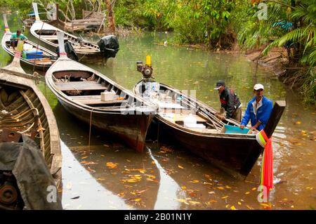 Thailand: Boote auf dem Fluss in Tha Pom Sumpf und Wald, Krabi Küste. Tha Pom (vollständiger Name auf Thai ist Pa Phru Tha Pom Khlong Song Nam) ist ein Torfsumpf und Wald, der hauptsächlich von einem Becken namens Chong Phra Kaew entlang einer natürlichen Wasserstraße verläuft. Die Einheimischen nennen diesen Wasserweg Khlong Song Nam oder „zwei Arten von Wasserkanälen“, weil klares Süßwasser bei Flut auf Meerwasser trifft und sich mit Meerwasser verschmelzt, was zu einer natürlichen Umgebung führt, in der sich Lumphi-Palmen (Eleiodoxa conferta) treffen und mit Mangrovenwäldern vermischen. Stockfoto