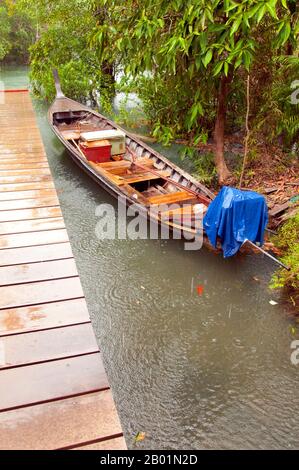 Thailand: Boot auf dem Fluss im Tha Pom Sumpf und Wald, Krabi Küste. Tha Pom (vollständiger Name auf Thai ist Pa Phru Tha Pom Khlong Song Nam) ist ein Torfsumpf und Wald, der hauptsächlich von einem Becken namens Chong Phra Kaew entlang einer natürlichen Wasserstraße verläuft. Die Einheimischen nennen diesen Wasserweg Khlong Song Nam oder „zwei Arten von Wasserkanälen“, weil klares Süßwasser bei Flut auf Meerwasser trifft und sich mit Meerwasser verschmelzt, was zu einer natürlichen Umgebung führt, in der sich Lumphi-Palmen (Eleiodoxa conferta) treffen und mit Mangrovenwäldern vermischen. Stockfoto