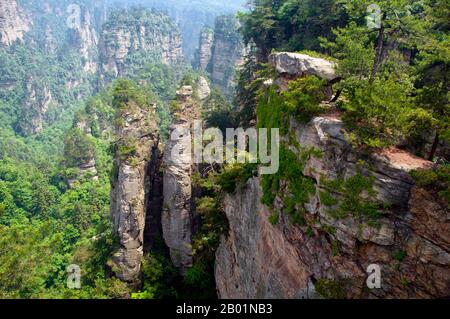 China: Quarzit-Sandsteinsäulen und Gipfel, Wulingyuan Scenic Area (Zhangjiajie), Provinz Hunan. Das Wulingyuan Scenic Reserve ist ein landschaftlich interessantes Gebiet in der Provinz Hunan. Er ist bekannt für seine etwa 3.100 hohen Quarzitsandsteinsäulen, von denen einige über 800 Meter (2.600 ft) hoch sind und eine Art Karstformation sind. 1992 wurde es zum UNESCO-Weltkulturerbe erklärt. Stockfoto