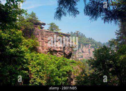 China: Quarzit-Sandsteinsäulen und Gipfel, Wulingyuan Scenic Area (Zhangjiajie), Provinz Hunan. Das Wulingyuan Scenic Reserve ist ein landschaftlich interessantes Gebiet in der Provinz Hunan. Er ist bekannt für seine etwa 3.100 hohen Quarzitsandsteinsäulen, von denen einige über 800 Meter (2.600 ft) hoch sind und eine Art Karstformation sind. 1992 wurde es zum UNESCO-Weltkulturerbe erklärt. Stockfoto