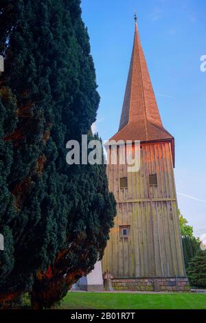 Gemeine Eibe, englische Eibe, Europäische Eibe (Taxus baccata), hundert Jahre alte Eibe auf dem Kirchhof in Flintbek, 1220 erbaute Kirche, Deutschland, Schleswig-Holstein, Flintbek Stockfoto