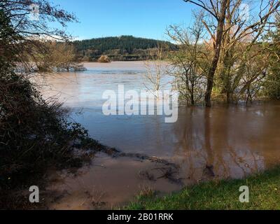 Überschwemmtes Ackerland River Wye bei Hay on Wye der Fluss erreichte mit 5,05 Metern die höchste Stufe, die auf der lokalen Flusshöhenlehre verzeichnet wurde Stockfoto