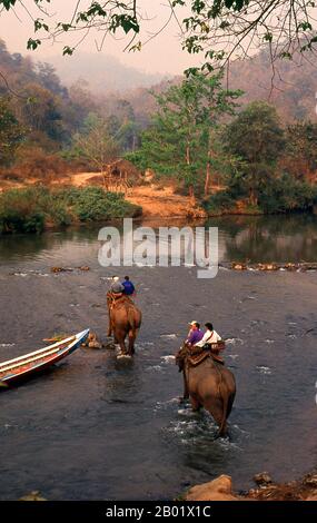 Thailand: Elefanten überqueren den Fluss Pai am frühen Morgen, südlich von Mae Hong Son, Nord-Thailand. Einst eine der abgelegensten Provinzen Thailands, ist Mae Hong Son nun sowohl mit dem Flugzeug von Chiang Mai als auch mit einer wunderbaren Rundfahrt durch Mae Sariang und zurück über Pai und Soppong – oder umgekehrt – leicht erreichbar. Mae Hong Son ist nur isoliert und noch nicht sehr entwickelt. Die Stadtbewohner mögen Bürger Thailands sein, aber die meisten sind Shan-, Karen-, Yunnanese- oder Hill-Stämme. Die Tempel sind burmesisch im Stil, und das Tempo des Lebens ist erstaunlich ruhig. Stockfoto