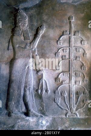 Irak: Dschinn mit Mohnblume. BAS-Relief aus dem Palast von Sargon II. (Ca. 770–705 v. Chr.), Dur Sharrukin in Assyrien (Chorsabad), ca. 716-713 v. Chr. Sargon II. Regierte als König des Neo-Assyrischen Reiches von 722 v. Chr. bis zu seinem Tod in der Schlacht 705 v. Chr. Er kam wahrscheinlich an die Macht, nachdem er seinen Bruder Shalmaneser V. gestürzt und die Sargoniden-Dynastie gegründet hatte. Er nahm seinen regierenden Namen nach dem alten Eroberer Sargon von Akkad an und erweiterte Assyrisches Territorium als mächtiger Krieger-König und Militärstratege, führte seine Truppen persönlich in die Schlacht und besiegte alle seine großen Feinde während seiner Herrschaft. Stockfoto