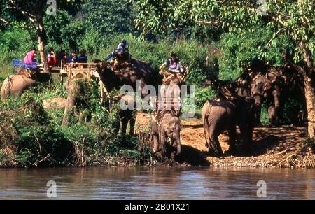 Thailand: Frühmorgendliche Elefantenwanderung neben dem Pai Fluss in der Nähe von Mae Hong Son, Nord-Thailand. Einst eine der abgelegensten Provinzen Thailands, ist Mae Hong Son nun sowohl mit dem Flugzeug von Chiang Mai als auch mit einer wunderbaren Rundfahrt durch Mae Sariang und zurück über Pai und Soppong - oder umgekehrt - leicht erreichbar. Mae Hong Son ist nur isoliert und noch nicht sehr entwickelt. Die Stadtbewohner mögen Bürger Thailands sein, aber die meisten sind Shan-, Karen-, Yunnanese- oder Hill-Stämme. Die Tempel sind burmesisch im Stil, und das Tempo des Lebens ist erstaunlich ruhig. Stockfoto