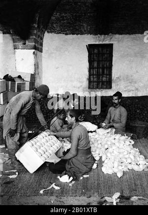 Palästina: Palästinensische Männer, die Orangen in Kisten packen, Jaffa, um 1900. Palästina ist ein Name für die geografische Region zwischen dem Mittelmeer und dem Jordan. Die Region ist auch als das Land Israel, das Heilige Land und die Südlevante bekannt. 1832 wurde Palästina von Mohammed Alis Ägypten erobert, aber 1840 intervenierte Großbritannien und gab die Kontrolle über die Levante an die Osmanen zurück, als Gegenleistung für weitere Kapitulationen. Am Ende des 19. Jahrhunderts begann die zionistische Einwanderung und die Wiederbelebung der hebräischen Sprache. Stockfoto