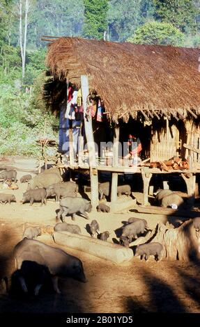 Thailand: Lahu-Haus in der Nähe von Pai, Provinz Mae Hong Son, Nordthailand. Die Lahu (Ladhulsi oder Kawzhawd; La Hủ) sind eine ethnische Gruppe Südostasiens und Chinas. Sie gehören zu den 56 von der Volksrepublik China offiziell anerkannten ethnischen Gruppen, in denen etwa 450.000 in der Provinz Yunnan leben. Schätzungsweise 150.000 leben in Birma. In Thailand sind Lahu einer der sechs wichtigsten Bergstämme, deren Bevölkerung auf etwa 100.000 geschätzt wird. Die Tai nennen sie oft mit dem Exonym Mussur oder Jäger. Etwa 10.000 leben in Laos. Sie sind eine von 54 ethnischen Gruppen in Vietnam. Stockfoto