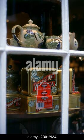 England: A Yorkshire Teashop Window, York, UK. Nach der mündlichen Überlieferung wird in China seit über vier Jahrtausenden Tee angebaut. Die frühesten schriftlichen Berichte über die Teezubereitung stammen jedoch aus der Zeit um 350 n. Chr., als er zum ersten Mal am kaiserlichen Hof ein Getränk wurde. Etwa 800 CE-Teesamen wurden nach Japan gebracht, wo bald ein regelmäßiger Anbau etabliert wurde. Etwas mehr als fünf Jahrhunderte später, im Jahr 1517, wurde der Tee von den Portugiesen nach Europa geliefert, kurz nachdem sie ihren Handel mit China aufgenommen hatten. Stockfoto