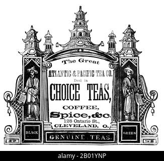 USA: Werbung für „The Great Atlantic and Pacific Tea Company“, Cleveland, Ohio, ca. Ende des 19. Jahrhunderts. Tee ist ein aromatisches Getränk, das üblicherweise durch Gießen von kochendem heißem Wasser über die gereiften Blätter der Pflanze Camellia sinensis zubereitet wird. Der Begriff bezieht sich auch auf die Anlage selbst. Nach dem Wasser ist Tee das am häufigsten konsumierte Getränk der Welt. Es hat einen kühlenden, leicht bitteren, adstringenten Geschmack, den viele Menschen genießen. Der Verzehr von Tee (besonders grün) ist für die Gesundheit und Langlebigkeit aufgrund seines Antioxidans, Flavanole, Flavonoide, Polyphenole und Catechine-Gehalts vorteilhaft. Stockfoto