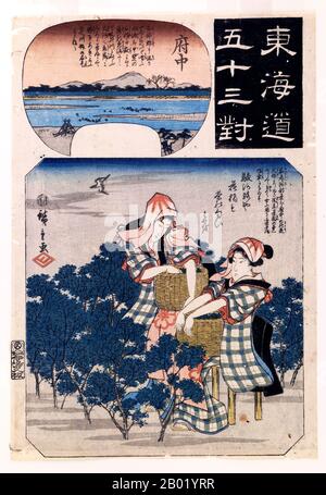 Japan: Zwei Teepflückerinnen in Kimonos. Ukiyo-e-Wooblockdruck aus der Serie '53 Stationen des Tokaido' von Utagawa Hiroshige (1767-1858), um 1845. In raffinierten BaumwollKimonos erscheinen zwei Mädchen überzogen für die anstehende Aufgabe. Unter ihren gebürsteten Kopfbedeckungen tragen sie alle Frisuren höchster urbaner Mode. Es handelt sich dabei um elegante Frauen, die in der berühmten Region Fuchu als Teeplantagenarbeiter verkleidet sind. Hiroshige präsentiert seinen urbanen Gästen eine Fantasie, die sowohl ihren Sinn für Mode als auch ihre Liebe zum feinen Tee anspricht. Stockfoto