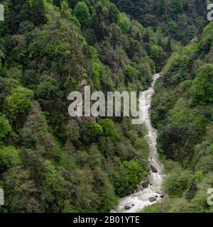 Springtime Forest im Tal des Flusses Firtina in der Provinz Rize in der Türkei. Stockfoto