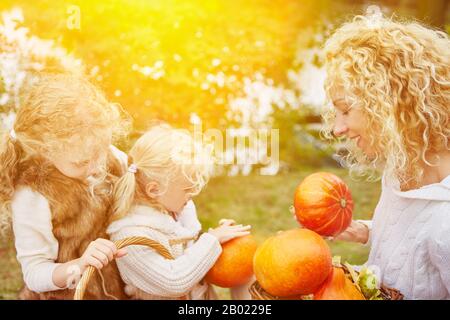 Glückliche Familie in hokkaido erntet Kürbisse für Halloween Stockfoto